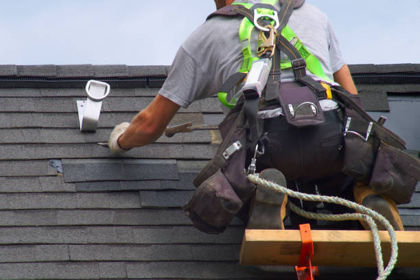 Best Steel Siding Installation  in Landen, OH